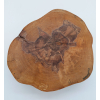 Plaster z brzozy dł.19cm/szer.16cm/wys.7cm
