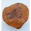 Plaster z brzozy dł.19cm/szer.16,5cm/wys.8cm