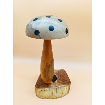 Grzyb wykonanay z akacji, czereśni i orzech włoskiego(kropki czarny dąb) szer.14cm/wys.28cm/dł.12cm