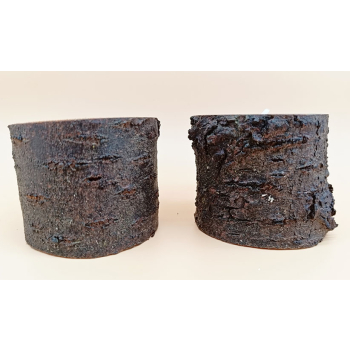Drewno owocowe dł.6,5cm/wys.5,3cm komplet 2szt.