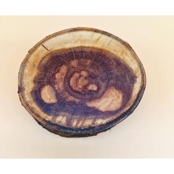 Drewno owocowe dł.8,5cm/szer.7,7cm/wys.2,8cm