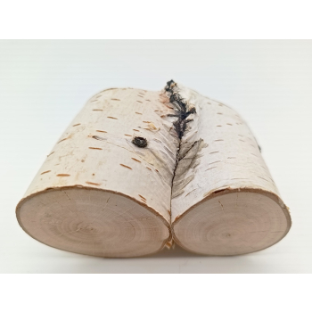 Drewno brzoza dł.9,8cm/szer.5,5cm/wys.5cm