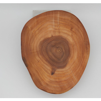 Plaster drewna dł.19cm/szer.15,5cm/wys.5,6cm