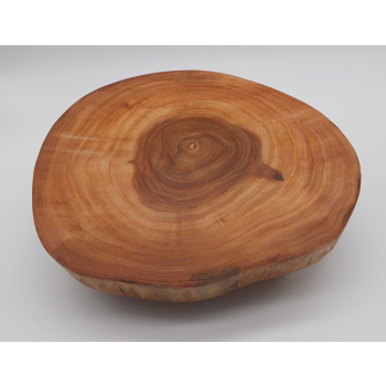 Plaster drewna dł.19cm/szer.15,5cm/wys.5,6cm