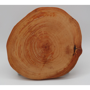 Plaster drewna dł.21cm/szer.18,5cm/wys.5,6cm