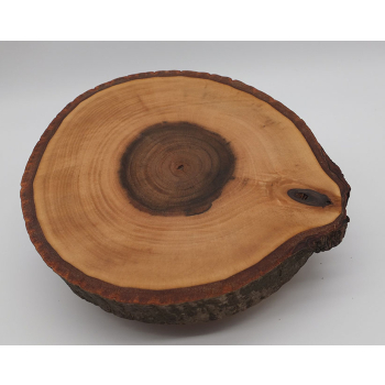 Plaster drewna dł.19,5cm/szer.18cm/wys.5,5cm
