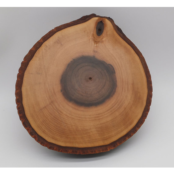 Plaster drewna dł.19,5cm/szer.18cm/wys.5,5cm