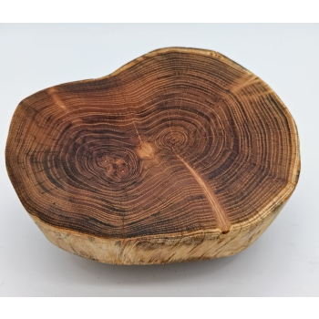 Plaster z akacji dł.17cm/szer.11cm/wys.6,4cm