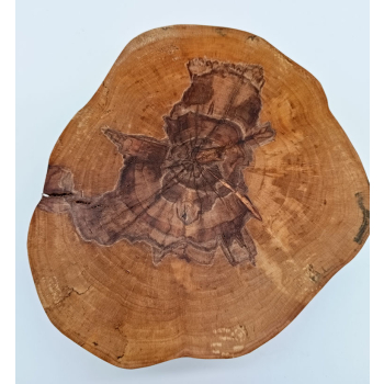 Plaster z brzozy dł.19cm/szer.16cm/wys.7cm