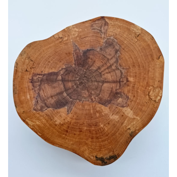 Plaster z brzozy dł.19cm/szer.16,5cm/wys.8cm