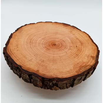 Plaster z brzozy dł.19,5cm/szer.18cm/wys.5,4cm