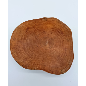 Plaster z brzozy dł.18cm/szer.15cm/wys.5,6cm