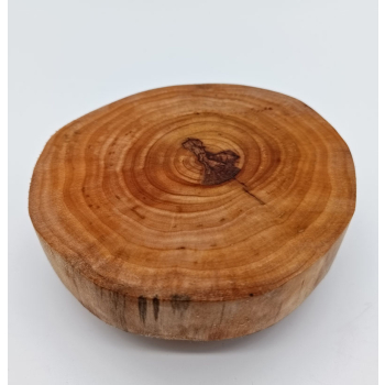 Plaster z brzozy dł.12cm/szer.11,5cm/wys.4,5cm