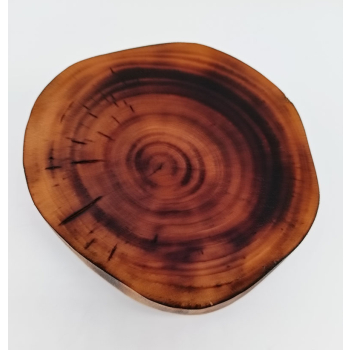 Plaster z brzozy dł.13,5cm/szer.12,5cm/wys.4,5cm