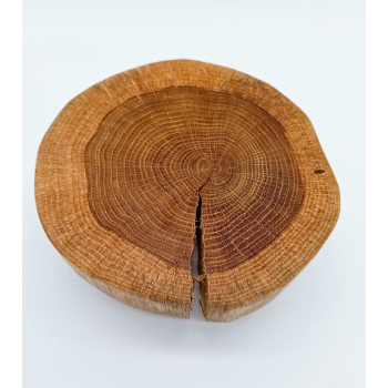Plaster dębu dł.17cm/wys.7cm