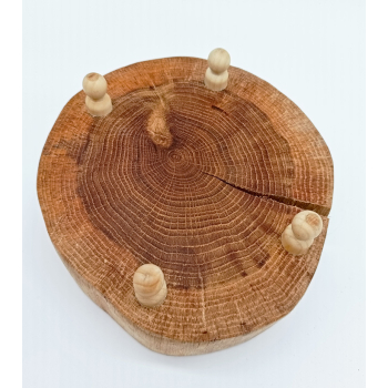 Plaster dębu dł.18cm/wys.7,7cm