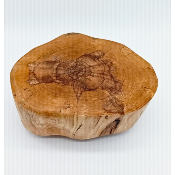 Plaster z brzozy dł.19cm/szer.16cm/wys.8,6cm