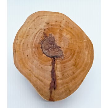 Patera-podstawka. Brzoza szer.16cm/wys4,9cm/dł.12cm