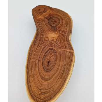 Plaster z akacji dł.29cm/szer.9cm/wys.5,9cm